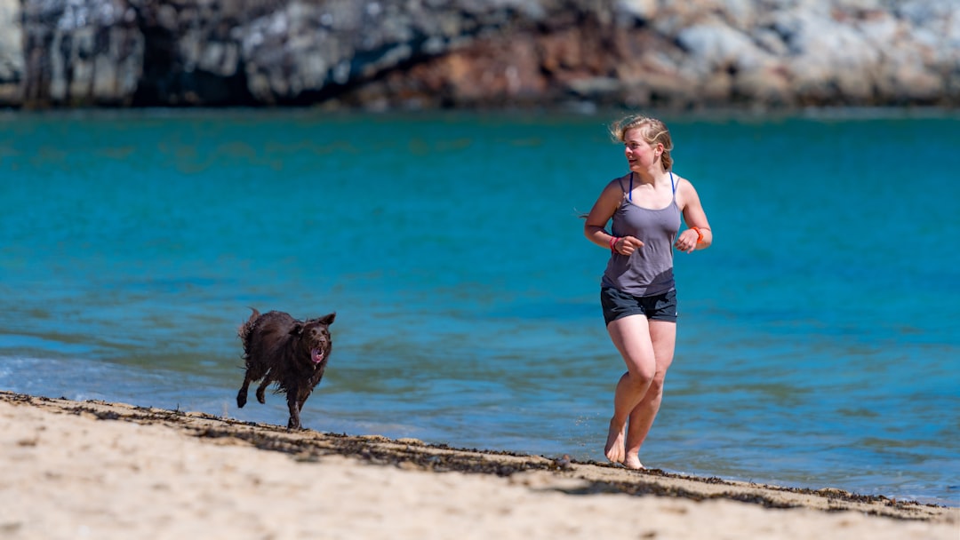 Energía y Vitalidad: Cómo una Dieta Natural Mejora el Rendimiento de Perros Activos y Deportivos