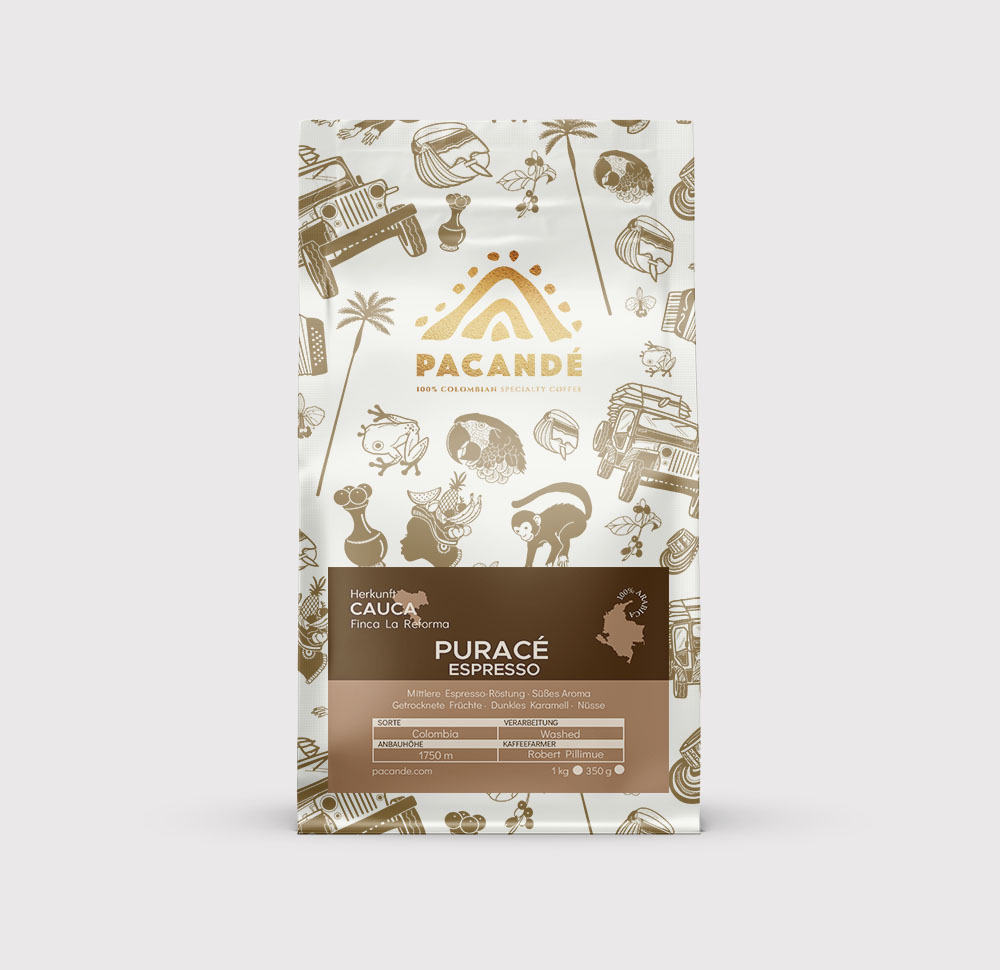 Puracé
